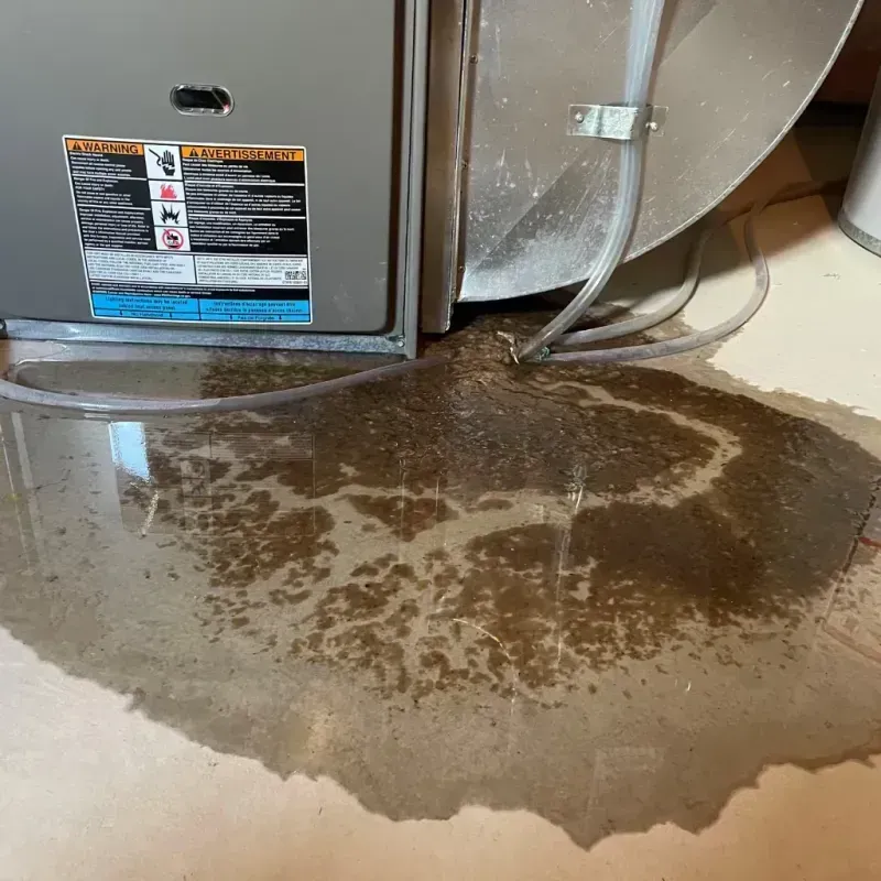 Appliance Leak Cleanup in Hurley, WI